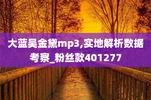 大蓝吴金黛mp3,实地解析数据考察_粉丝款401277