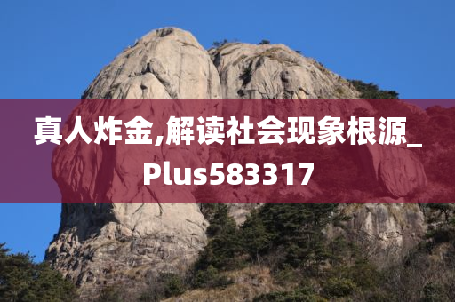 真人炸金,解读社会现象根源_Plus583317