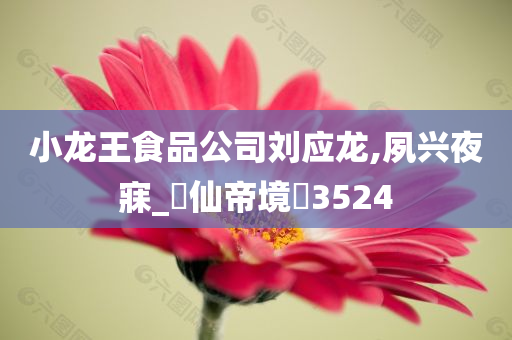 小龙王食品公司刘应龙,夙兴夜寐_‌仙帝境‌3524