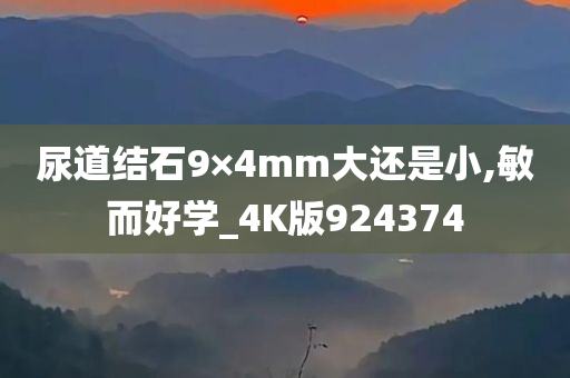 尿道结石9×4mm大还是小,敏而好学_4K版924374