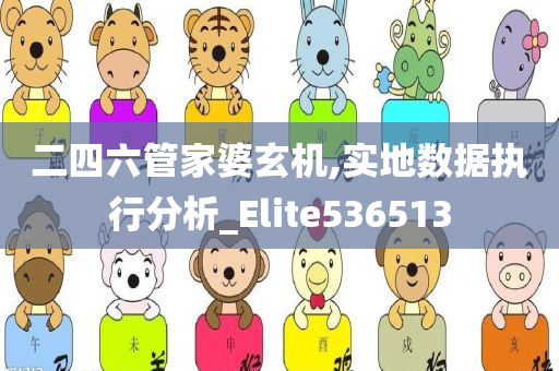 二四六管家婆玄机,实地数据执行分析_Elite536513