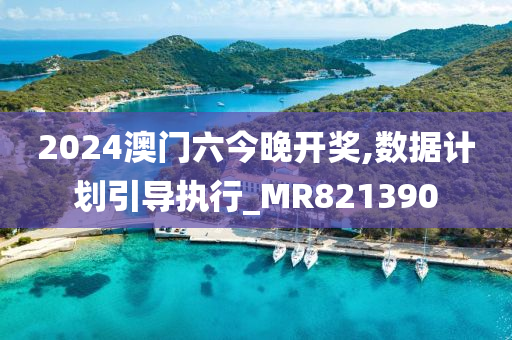 2024澳门六今晚开奖,数据计划引导执行_MR821390