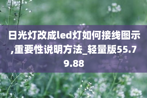 日光灯改成led灯如何接线图示,重要性说明方法_轻量版55.79.88