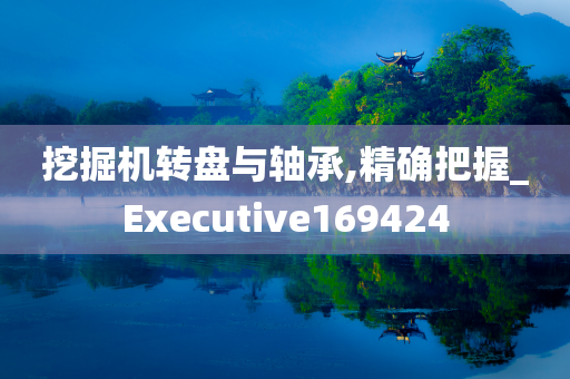 挖掘机转盘与轴承,精确把握_Executive169424