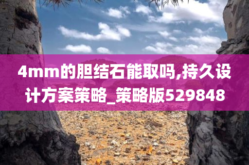 4mm的胆结石能取吗,持久设计方案策略_策略版529848