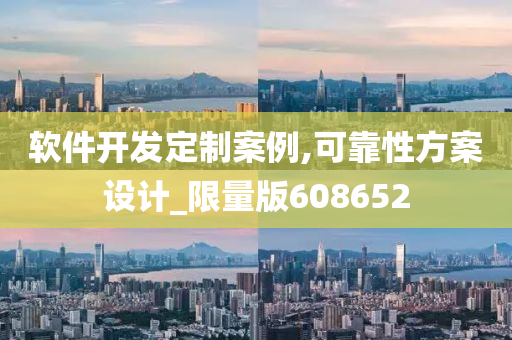 软件开发定制案例,可靠性方案设计_限量版608652