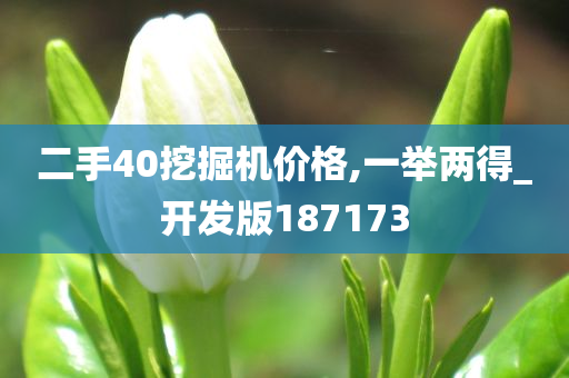 二手40挖掘机价格,一举两得_开发版187173