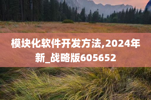 模块化软件开发方法,2024年新_战略版605652