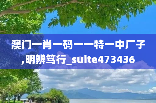 澳门一肖一码一一特一中厂子,明辨笃行_suite473436