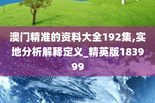 澳门精准的资料大全192集,实地分析解释定义_精英版183999