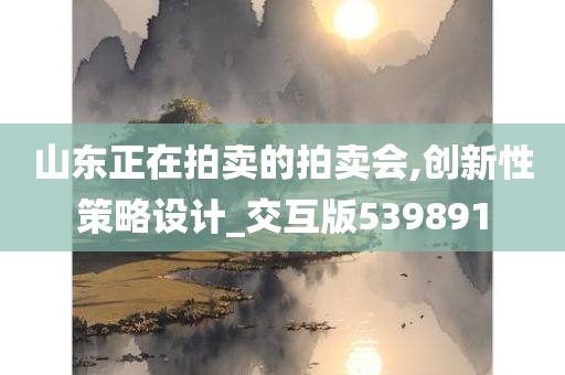 山东正在拍卖的拍卖会,创新性策略设计_交互版539891