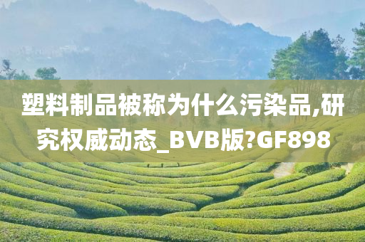 塑料制品被称为什么污染品,研究权威动态_BVB版?GF898