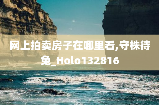 网上拍卖房子在哪里看,守株待兔_Holo132816