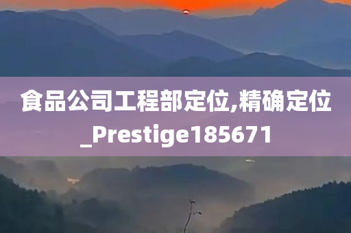 食品公司工程部定位,精确定位_Prestige185671