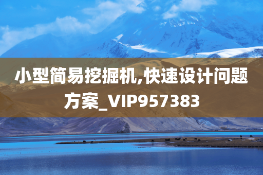 小型简易挖掘机,快速设计问题方案_VIP957383