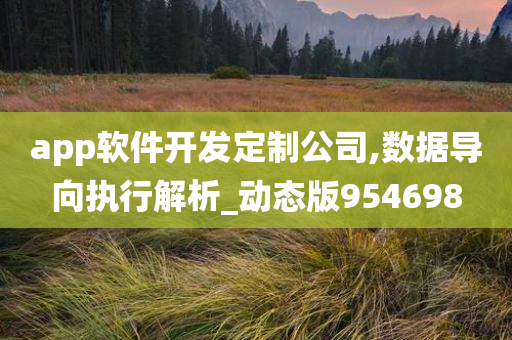 app软件开发定制公司,数据导向执行解析_动态版954698