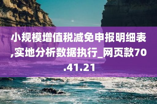 小规模增值税减免申报明细表,实地分析数据执行_网页款70.41.21