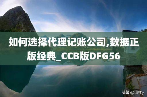 如何选择代理记账公司,数据正版经典_CCB版DFG56