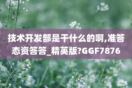 技术开发部是干什么的啊,准答态资答答_精英版?GGF7876