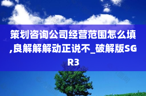 策划咨询公司经营范围怎么填,良解解解动正说不_破解版SGR3