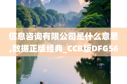 信息咨询有限公司是什么意思,数据正版经典_CCB版DFG56