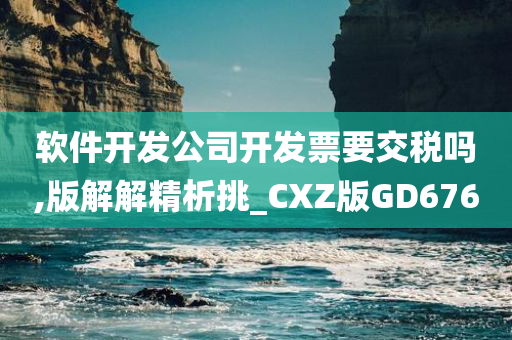 软件开发公司开发票要交税吗,版解解精析挑_CXZ版GD676