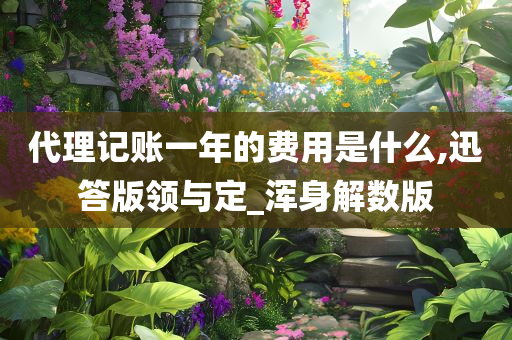 代理记账一年的费用是什么,迅答版领与定_浑身解数版