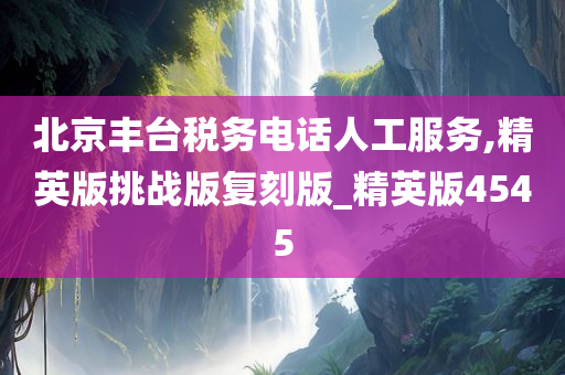 北京丰台税务电话人工服务,精英版挑战版复刻版_精英版4545