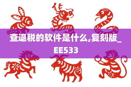 查退税的软件是什么,复刻版_EE533