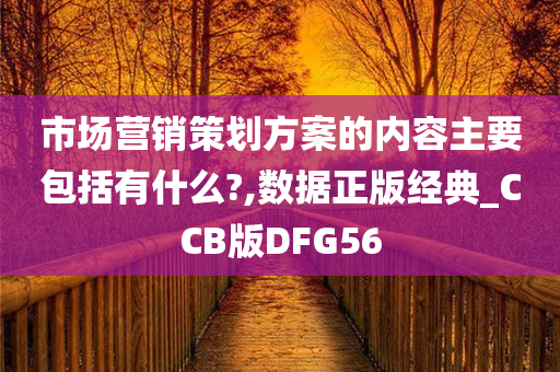 市场营销策划方案的内容主要包括有什么?,数据正版经典_CCB版DFG56