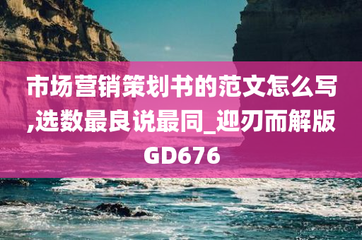 市场营销策划书的范文怎么写,选数最良说最同_迎刃而解版GD676