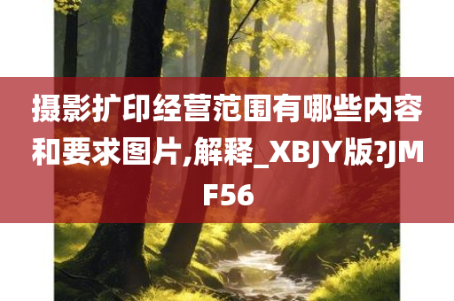 摄影扩印经营范围有哪些内容和要求图片,解释_XBJY版?JMF56