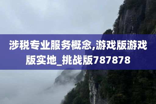 涉税专业服务概念,游戏版游戏版实地_挑战版787878