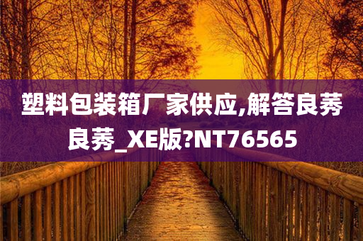 塑料包装箱厂家供应,解答良莠良莠_XE版?NT76565