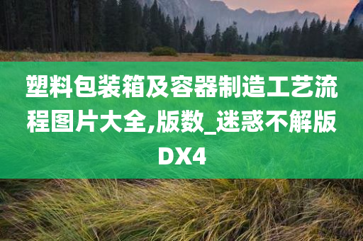 塑料包装箱及容器制造工艺流程图片大全,版数_迷惑不解版DX4