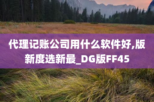 代理记账公司用什么软件好,版新度选新最_DG版FF45