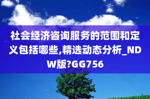 社会经济咨询服务的范围和定义包括哪些,精选动态分析_NDW版?GG756