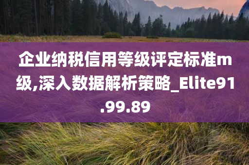 企业纳税信用等级评定标准m级,深入数据解析策略_Elite91.99.89