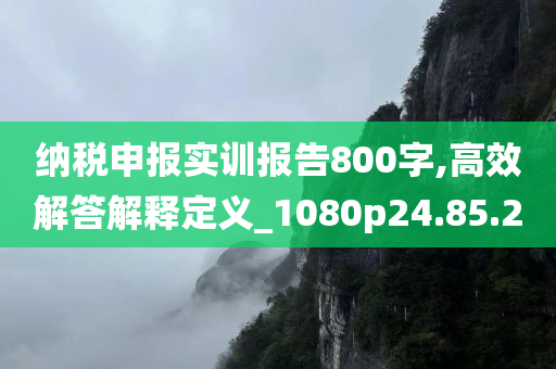 纳税申报实训报告800字,高效解答解释定义_1080p24.85.20