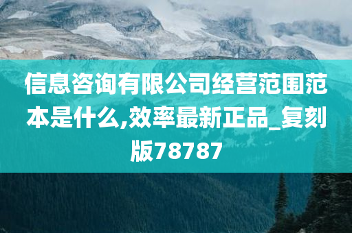 信息咨询有限公司经营范围范本是什么,效率最新正品_复刻版78787