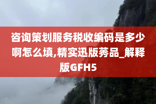 咨询策划服务税收编码是多少啊怎么填,精实迅版莠品_解释版GFH5