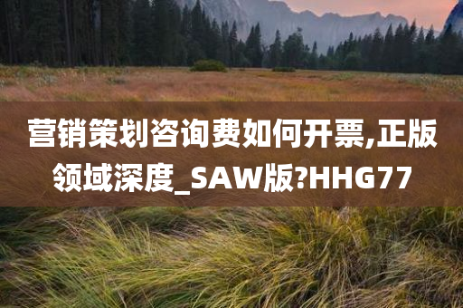 营销策划咨询费如何开票,正版领域深度_SAW版?HHG77