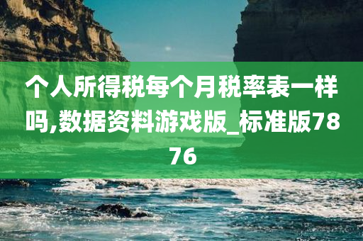 个人所得税每个月税率表一样吗,数据资料游戏版_标准版7876