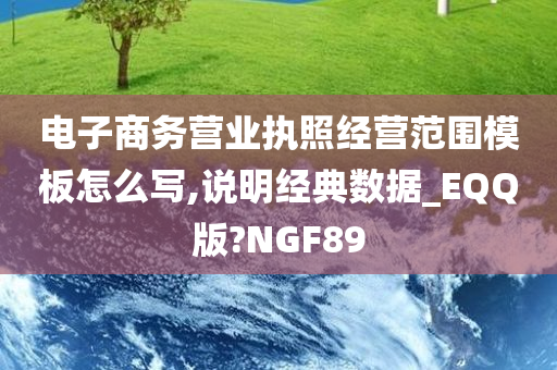 电子商务营业执照经营范围模板怎么写,说明经典数据_EQQ版?NGF89