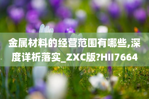 金属材料的经营范围有哪些,深度详析落实_ZXC版?HII7664