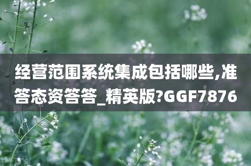 经营范围系统集成包括哪些,准答态资答答_精英版?GGF7876