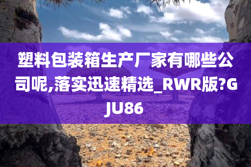 塑料包装箱生产厂家有哪些公司呢,落实迅速精选_RWR版?GJU86