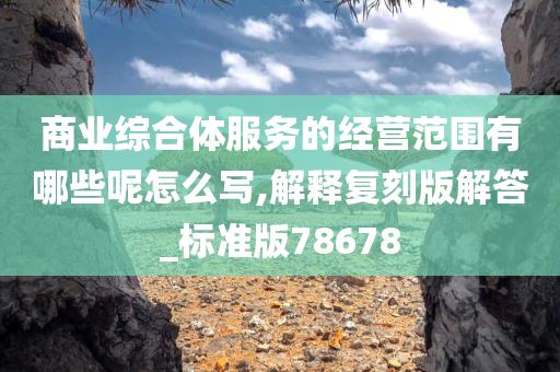 商业综合体服务的经营范围有哪些呢怎么写,解释复刻版解答_标准版78678