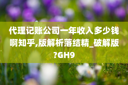 代理记账公司一年收入多少钱啊知乎,版解析落结精_破解版?GH9