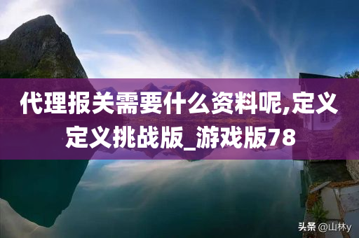 代理报关需要什么资料呢,定义定义挑战版_游戏版78